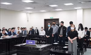 Ngày 9/8, mở lại phiên xử cựu Chủ tịch Vimedimex và đồng phạm