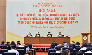 Đánh giá kỹ lưỡng tác động khi mở rộng phạm vi đấu giá biển số xe