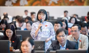 Trang bị đủ kiến thức, kỹ năng, đạo đức nghề nghiệp cho các đấu giá viên