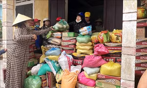 Nhiều phong trào ủng hộ đồng bào vùng bị bão lũ phía Bắc