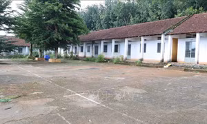 Quy hoạch 'treo', hàng trăm học sinh phải học nhờ