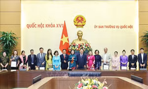 Phát huy vai trò đội ngũ trí thức, doanh nhân trong phát triển đất nước