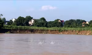 Thanh Hóa khắc phục sạt lở bờ sông, bờ biển, giảm rủi ro thiên tai
