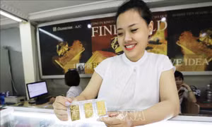 Giá vàng trong nước tăng nhẹ