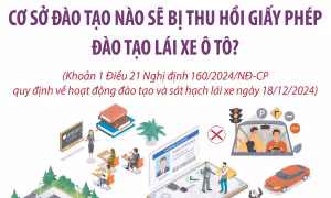 Từ 1/1/2025: Cơ sở đào tạo nào sẽ bị thu hồi giấy phép đào tạo lái xe ô tô?