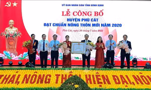 Bình Định: Công bố huyện Phù Cát đạt chuẩn nông thôn mới