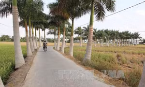 Long An: Huyện Tân Trụ đạt chuẩn nông thôn mới