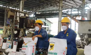 Giá phân bón trong nước giảm nhẹ nhờ nguồn cung ổn định