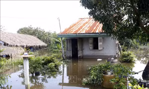 Triều cường dâng cao vượt mức lịch sử tại Cần Thơ