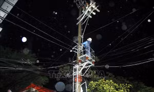 Nhiều địa phương sẽ được cấp điện trở lại trong ngày hôm nay (8/9)