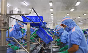 Hơn 97% công nhân, người lao động trở lại làm việc sau kỳ nghỉ Tết