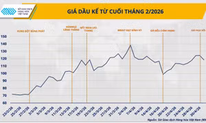 Giá dầu điều chỉnh nhưng áp lực chuỗi cung ứng chưa hạ nhiệt