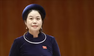 Cân đối nguồn vốn để cấp điện, tạo quỹ đất sản xuất cho đồng bào dân tộc thiểu số và miền núi