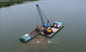 Kiến nghị không tăng khai thác cát do nguy cơ sạt lở bờ sông Tiền