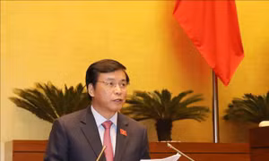 Thẩm tra việc thực hiện các nghị quyết của Quốc hội về giám sát chuyên đề và chất vấn