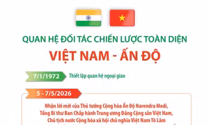 Quan hệ Đối tác Chiến lược toàn diện Việt Nam - Ấn Độ