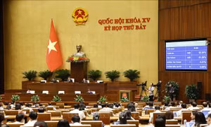 Kỳ họp thứ 7, Quốc hội khoá XV: Lập đoàn giám sát về bảo vệ môi trường