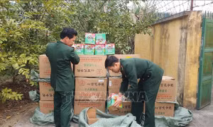 Biên phòng Lào Cai thu giữ gần 700 kg pháo hoa lậu