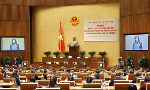 Để Hội đồng nhân dân thực sự là cơ quan quyền lực Nhà nước ở địa phương