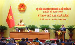 Hà Nội: Thông qua Nghị quyết quy định chính sách ưu đãi miễn tiền thuê đất
