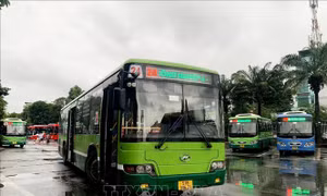 TP Hồ Chí Minh sẽ có hơn 200 xe buýt mới phục vụ từ ngày 1/4