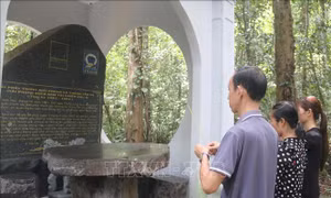 Dòng thông tin chính thống từ Chiến khu Đ