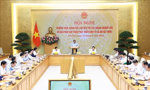 Thủ tướng chủ trì làm việc với các Tập đoàn, doanh nghiệp tư nhân lớn góp phần phát triển đất nước