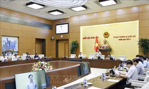 UBTV Quốc hội cho ý kiến về dự án Bộ luật Tố tụng hình sự (sửa đổi)