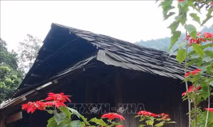 Gìn giữ những nhà sàn Thái cổ giữa đại ngàn