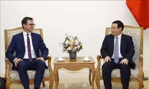 Hợp tác Việt Nam - OECD ngày càng đi vào thực chất