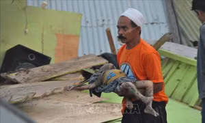Đã có hơn 400 người thương vong trong vụ động đất, sóng thần tại Indonesia 