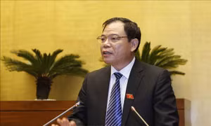 Đưa việc nuôi chim yến vào luật