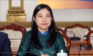 Khai mở nguồn lực kiều bào cho sự phát triển