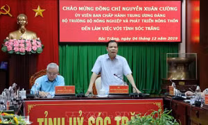 Cơ cấu lại ngành lúa gạo theo hướng nâng cao chất lượng