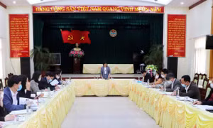 Giám sát việc thực hiện chính sách hỗ trợ người lao động gặp khó khăn do dịch COVID-19
