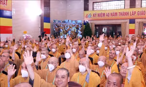 Phật giáo TP Hồ Chí Minh xây dựng xứng tầm một đơn vị Phật giáo đi đầu và tiêu biểu