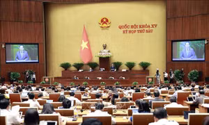 Thông cáo báo chí số 5, Kỳ họp thứ 6, Quốc hội khóa XV