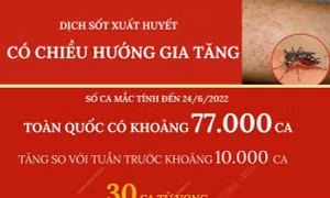 Dịch sốt xuất huyết có chiều hướng gia tăng