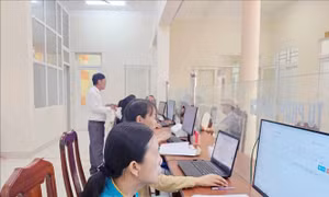 Hàng chục xã, phường ở Lâm Đồng 'trắng' cán bộ về chuyên môn