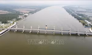 Đóng cửa van cống Cái Lớn để ngăn mặn