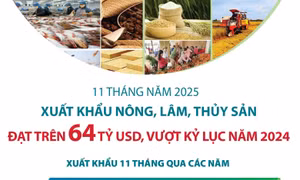 11 tháng năm 2025: Xuất khẩu nông, lâm, thủy sản đạt trên 64 tỷ USD, vượt kỷ lục năm 2024