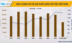 Cơn sốt giá hồ tiêu và ‘mặt bằng mới’ nào cho những tháng cuối năm