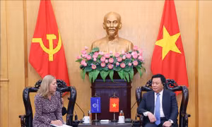 Hợp tác nghiên cứu tư vấn chính sách, tầm nhìn phát triển dài hạn của Việt Nam