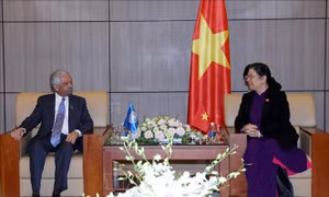 Việt Nam mong muốn UNDP hỗ trợ đánh giá tác động của biến đổi khí hậu