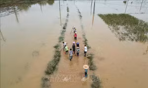 Mưa lớn tại Đông Bắc Trung Quốc do ảnh hưởng của bão Chaba