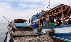 Việt Nam quyết tâm chống khai thác hải sản bất hợp pháp