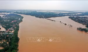 Quảng Trị chủ động ứng phó với mưa lớn và bão số 13