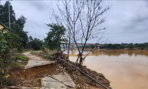 Sạt lở nghiêm trọng bờ sông Hương ảnh hưởng đến hàng chục hộ dân