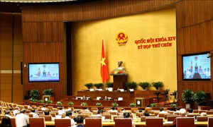 Từ 25 - 28/5: Quốc hội tập trung cho công tác xây dựng pháp luật 