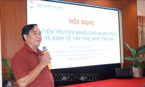 Hỗ trợ phụ nữ ứng dụng khoa học công nghệ, chuyển đổi số trong sản xuất, kinh doanh